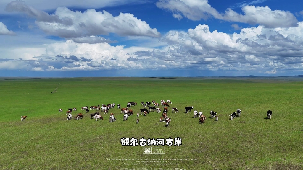 行走在内蒙:额尔古纳河右岸的呼伦贝尔大草原