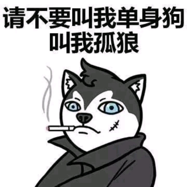 我叫孤独的狼!不叫单身狗