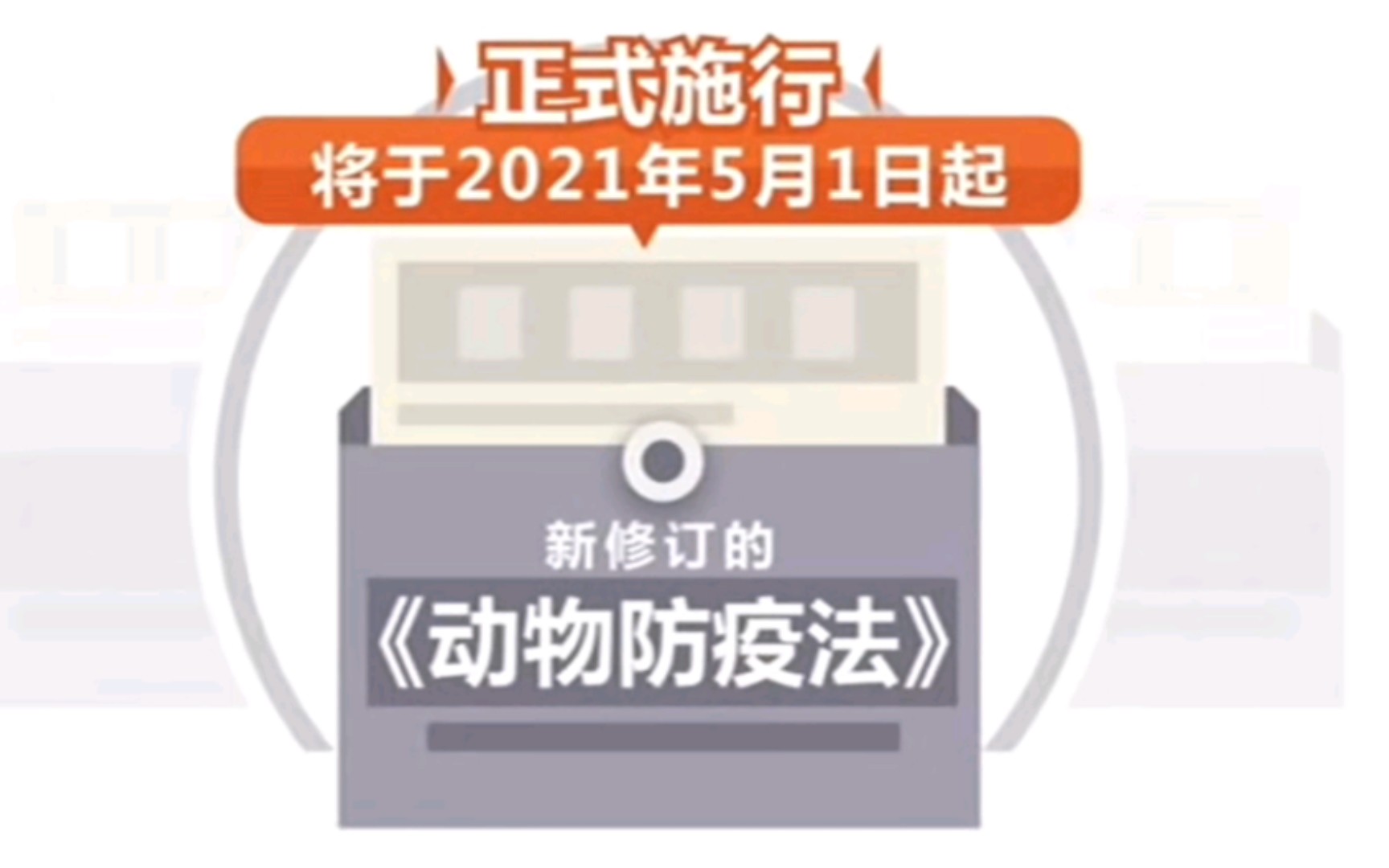 [图]【央视新闻】5月1日起流浪猫狗有人管、遛狗不牵绳将遭处罚《动物防疫法》