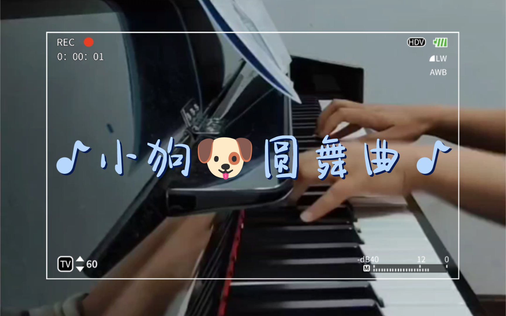 <小狗圆舞曲>完整版✅哔哩哔哩bilibili