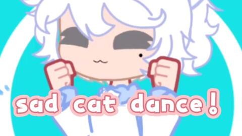 SAD CAT DANCE // ANIMATION MEME_哔哩哔哩_bilibili