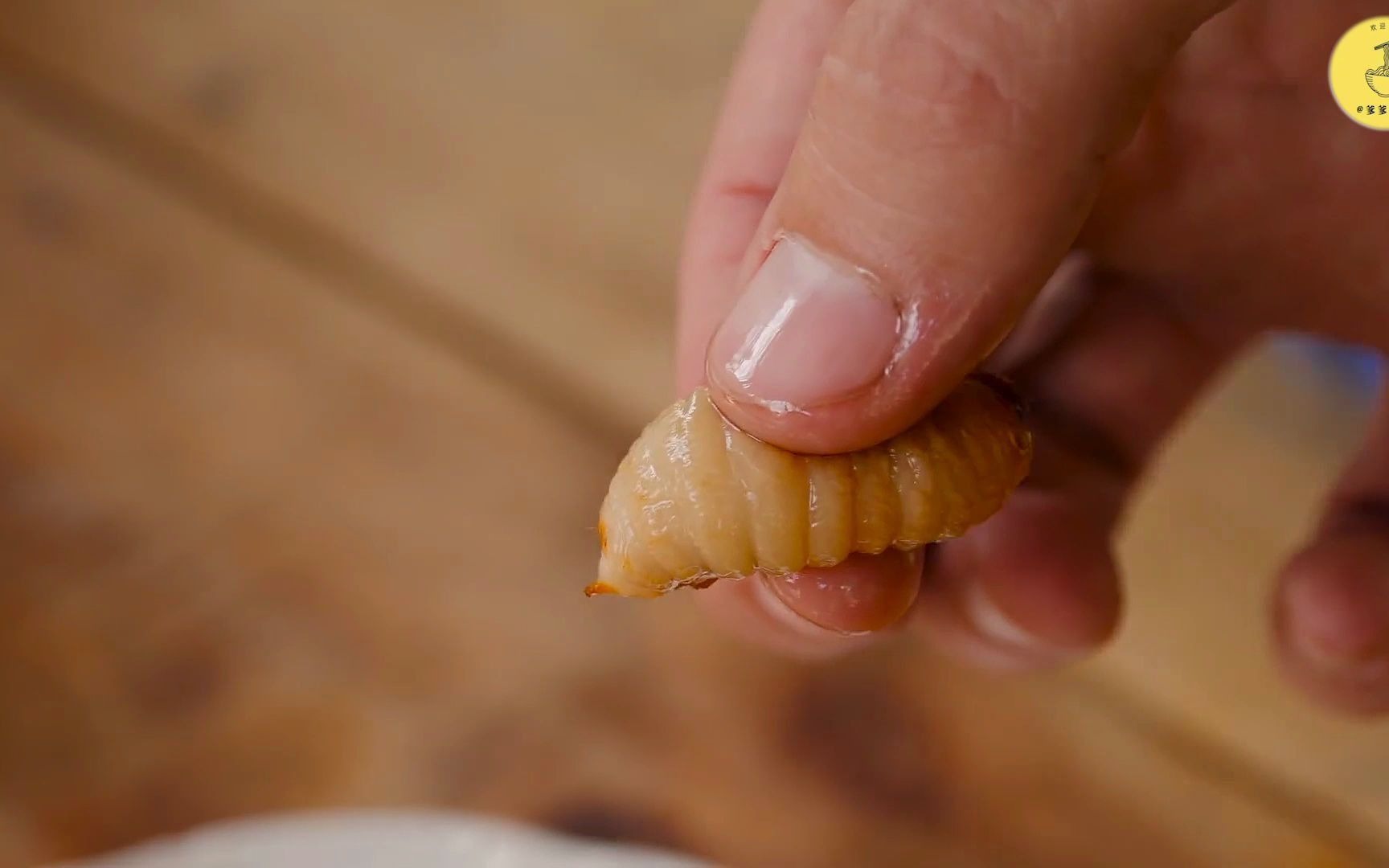 油炸水蜈蚣,生吞椰子虫,一个不需要时间机器就能回到过去的地方
