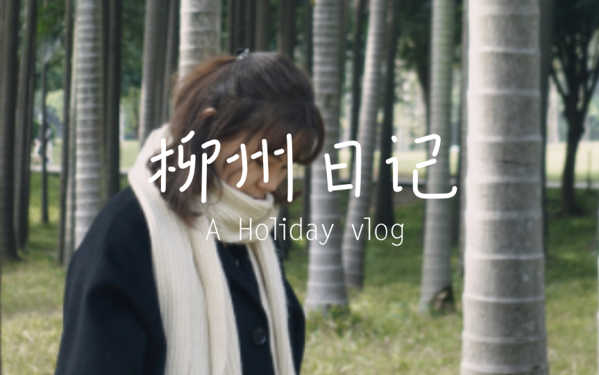 柳州vlog|到柳州嗦粉啦~哔哩哔哩bilibili