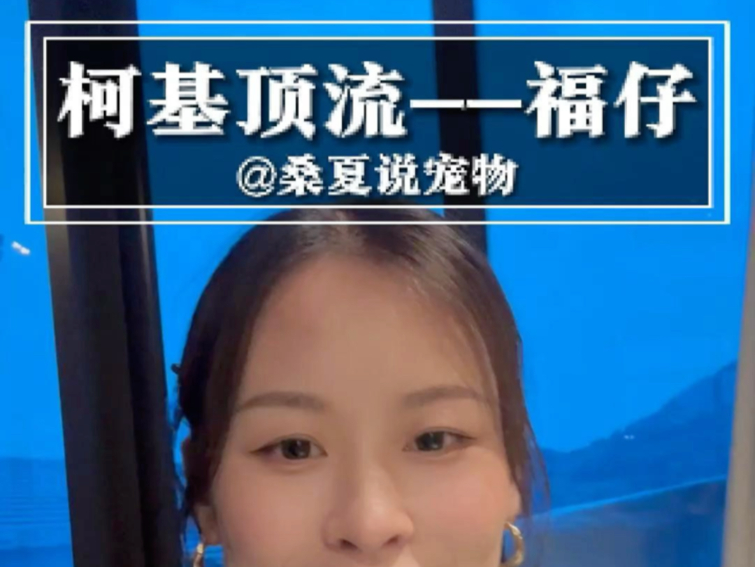 福仔:上班时间请叫我福sir!