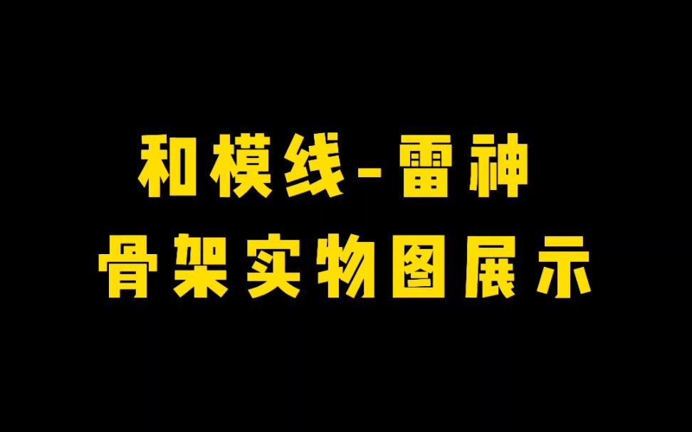 【实物分享】和模线雷神 骨架实物图展示哔哩哔哩bilibili