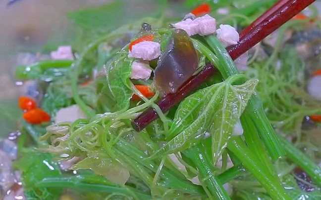 上汤瓜苗,时令美食,做的简单,快来看看吧_哔哩哔哩_bilibili