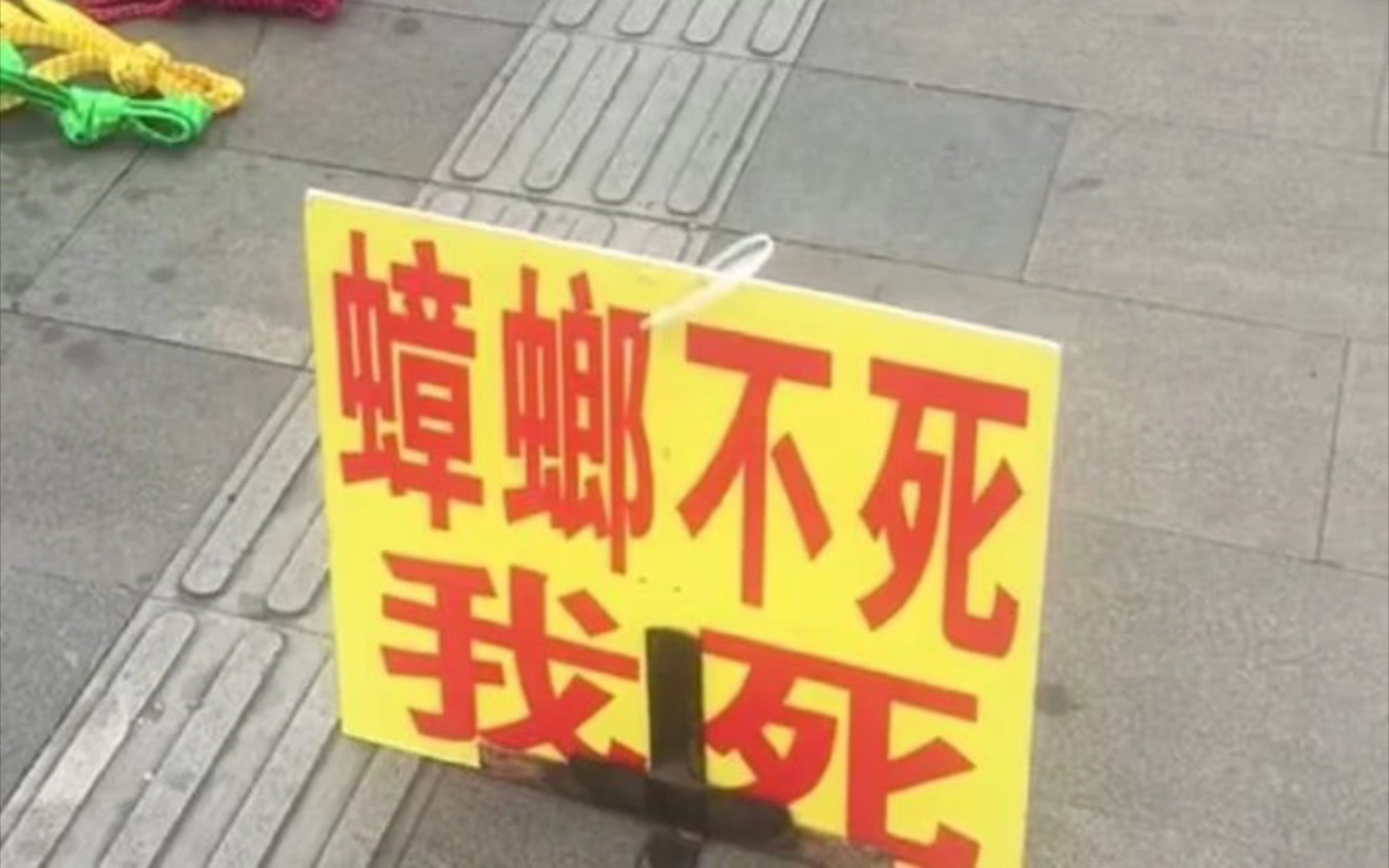 蟑螂不死我死!