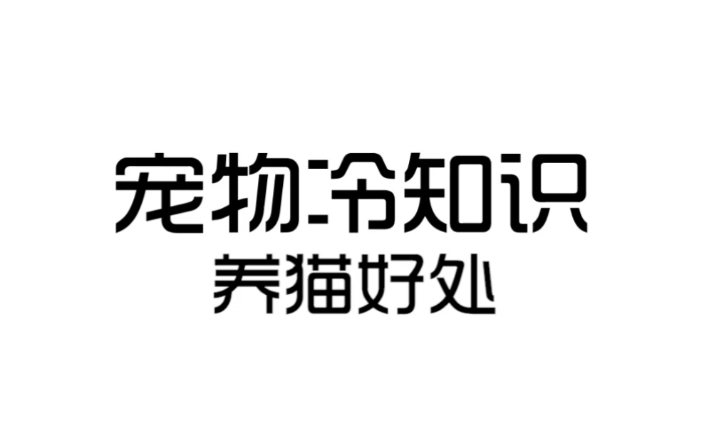 你知道养猫的好处有哪些吗?哔哩哔哩bilibili