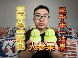 Download Video: 三千年一开花，三千年一结果的人参果，你吃过没？