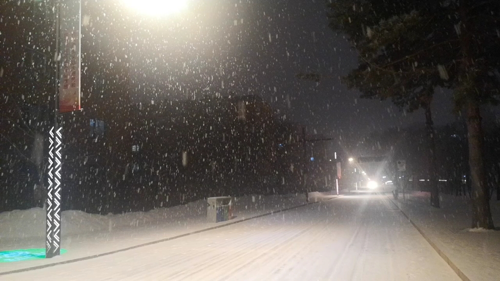 哈尔滨的雪,依旧浪漫.