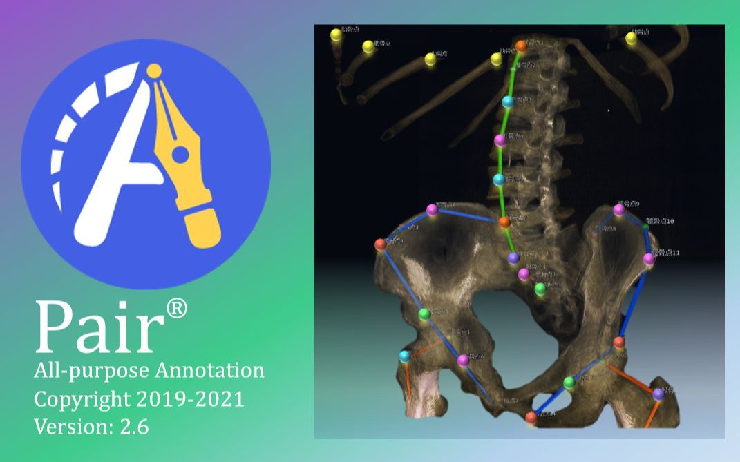【Pair】一站式标注软件教程19三维影像的关键点标注哔哩哔哩bilibili