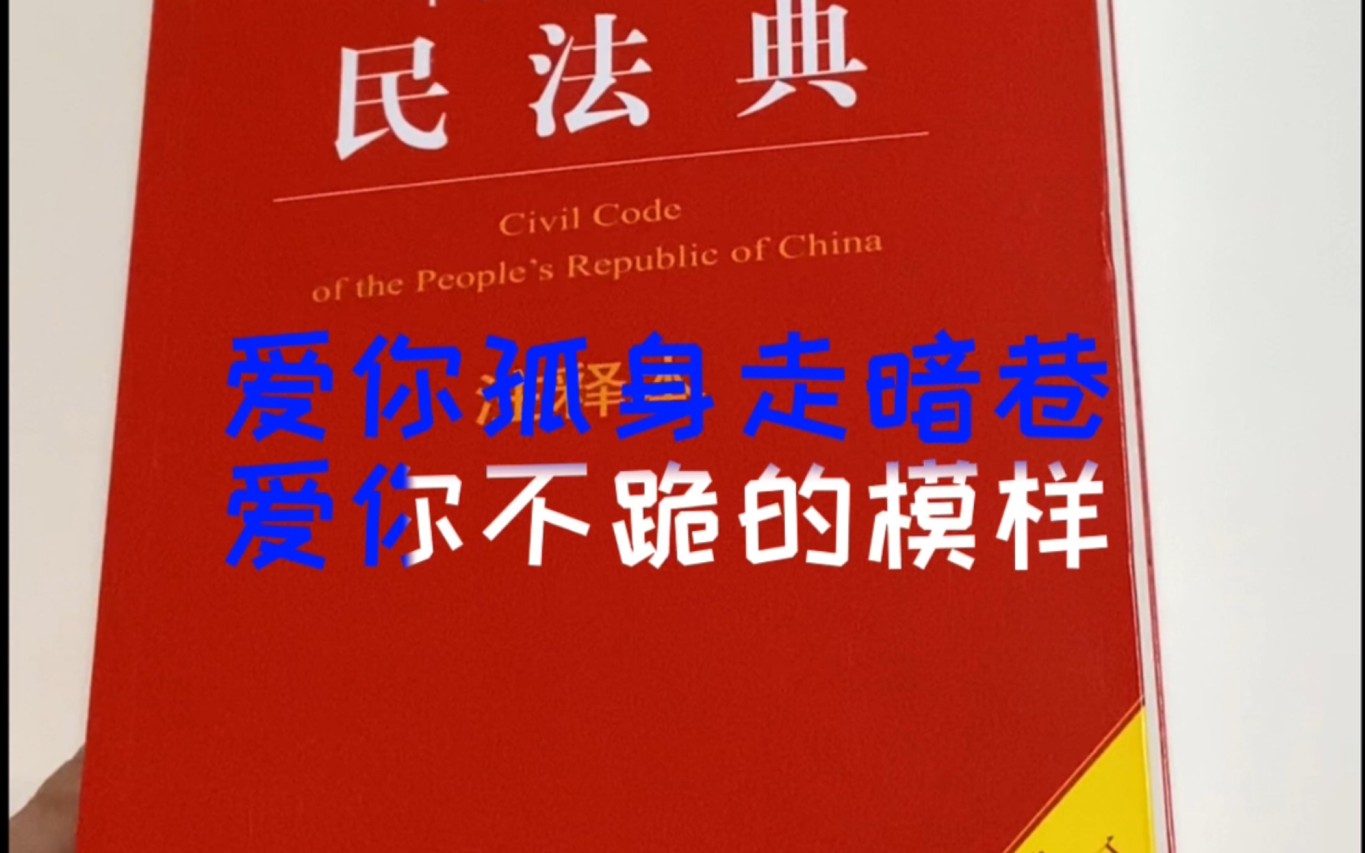 [图]关于我四年级的弟弟想要一本民法典这件事