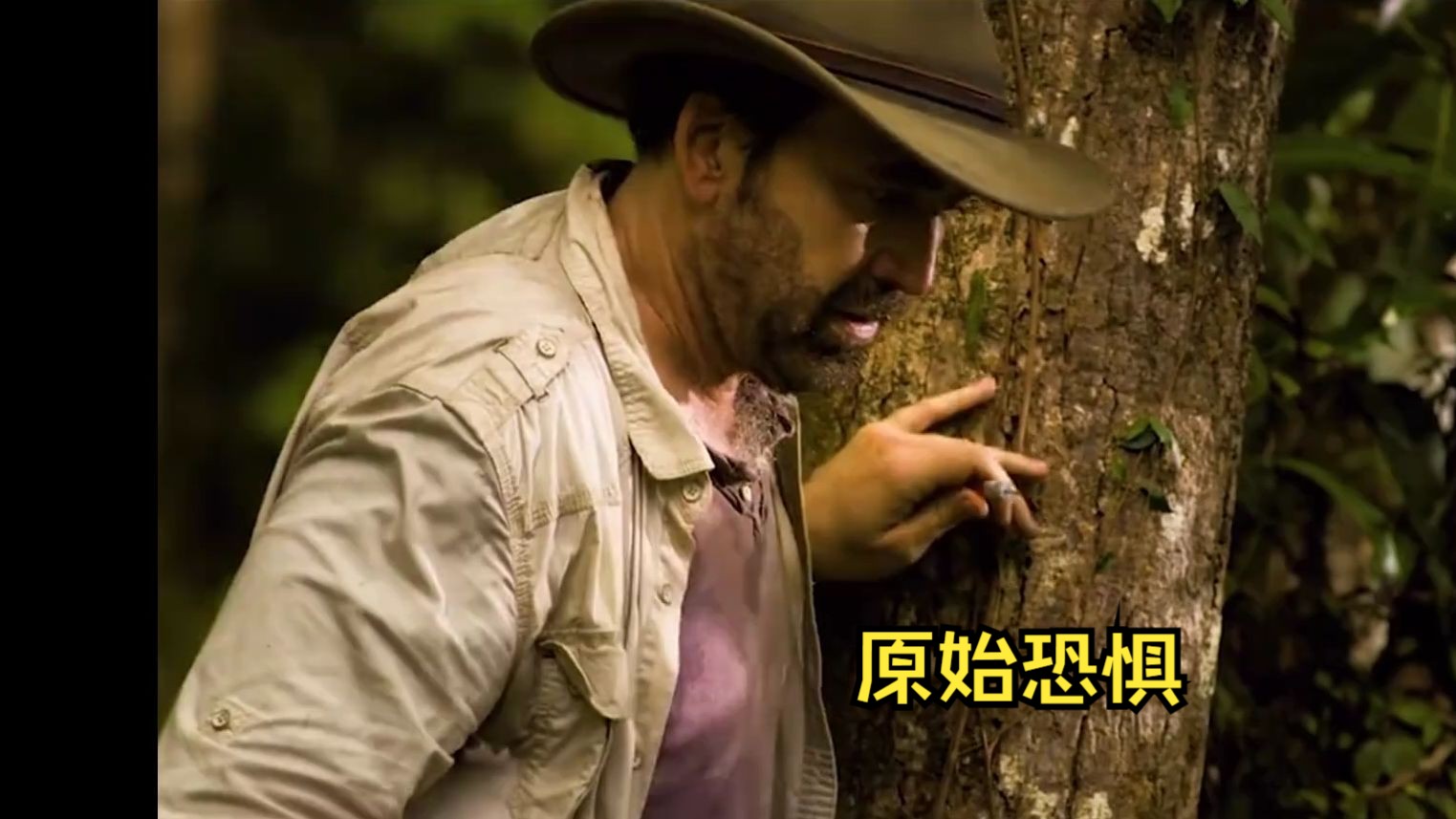 变态杀手与美洲豹齐聚远洋孤船,尼古拉斯动作大片《原始恐惧》上