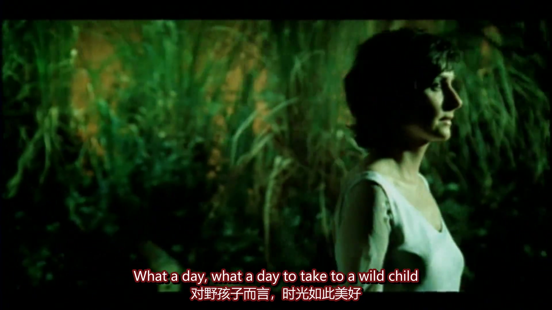 [图]★鳗鱼卿中英字幕✩恩雅系列双语MV Enya - Wild Child