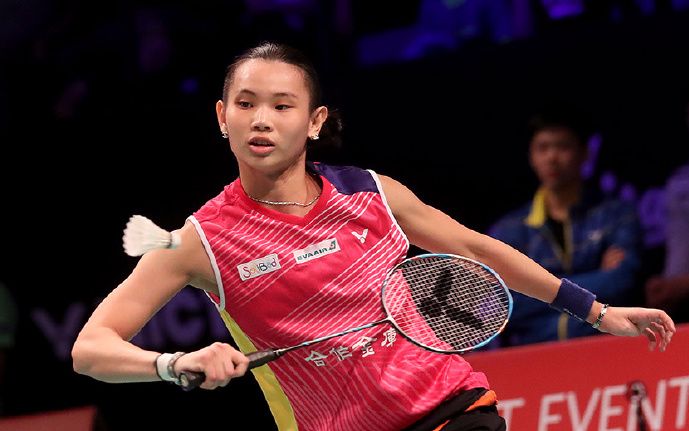 2017法国羽毛球公开赛女单1/4决赛 戴资颖-因达农