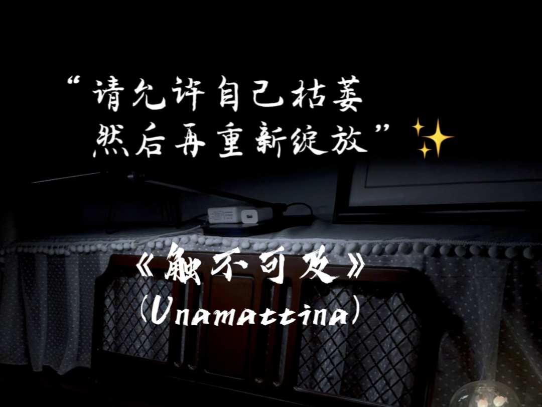 《触不可及》《Unamattina》哔哩哔哩bilibili