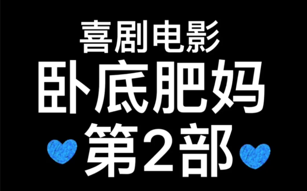 2006年美国电影~卧底肥妈~第2部哔哩哔哩bilibili