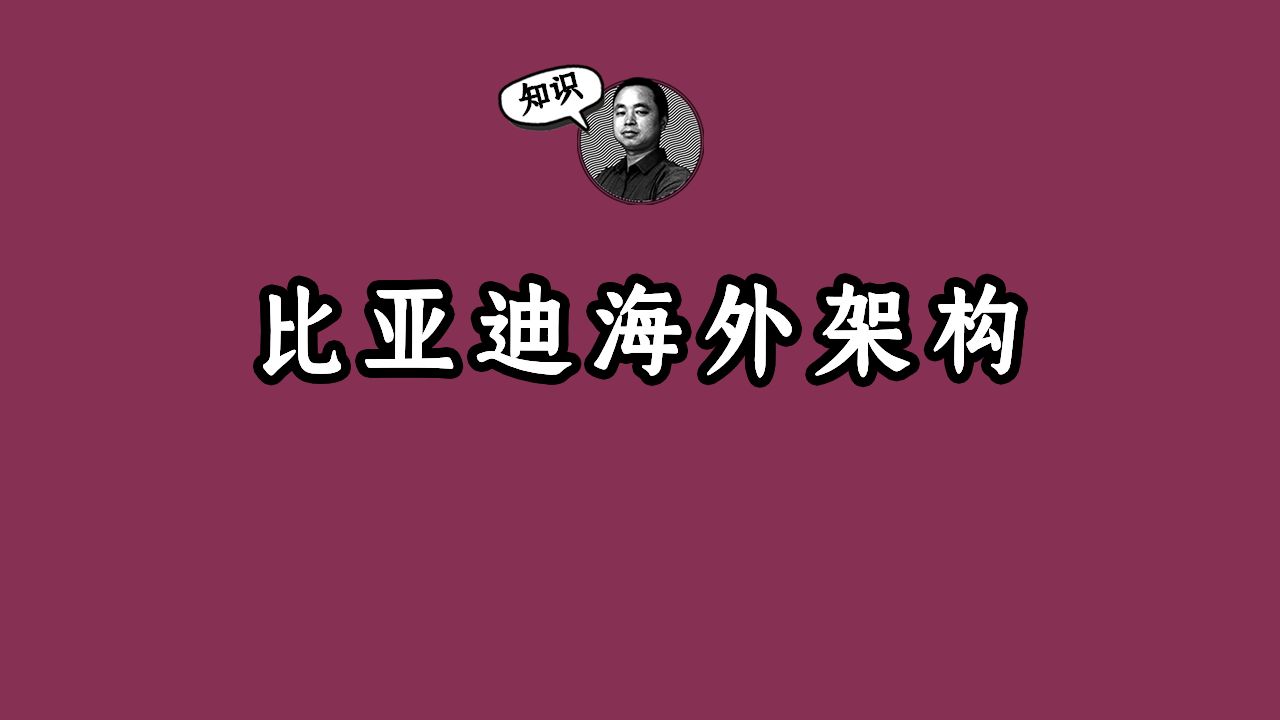 从比亚迪的扩张路径看海外股权架构搭建哔哩哔哩bilibili