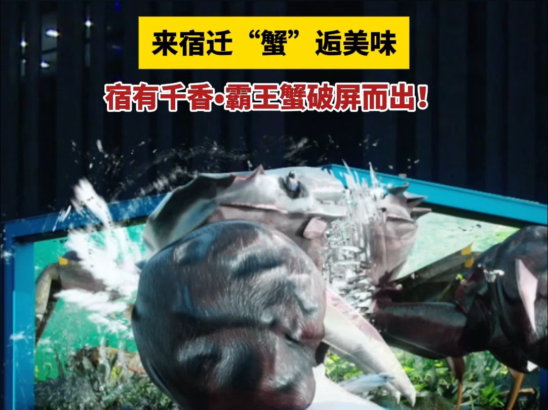 来宿迁"蟹"逅美味,霸王蟹破屏而出!