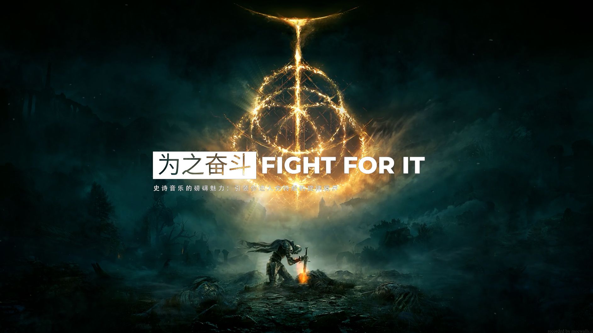 fighting图片 壁纸图片