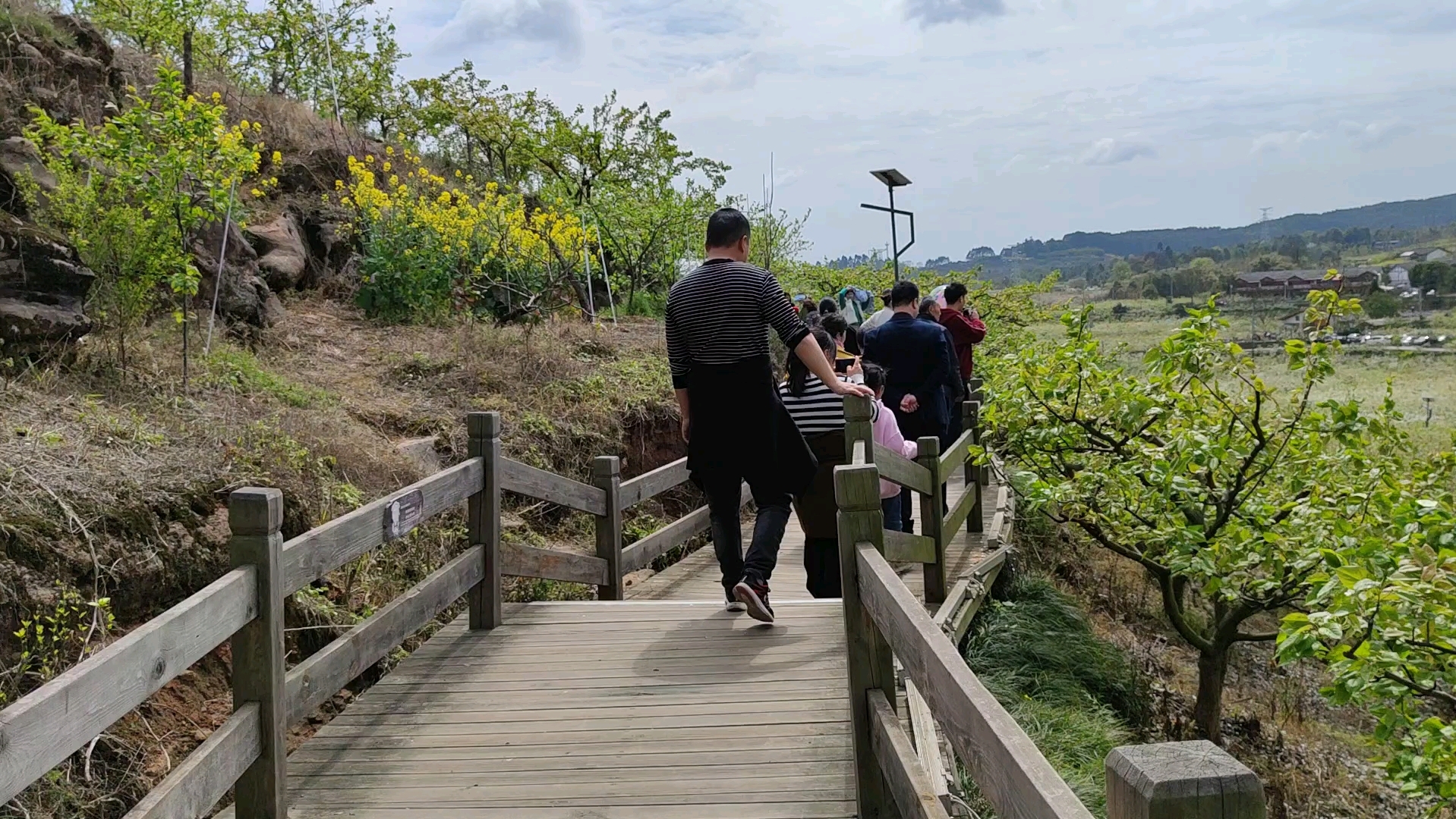 彭州葛仙山梨花園