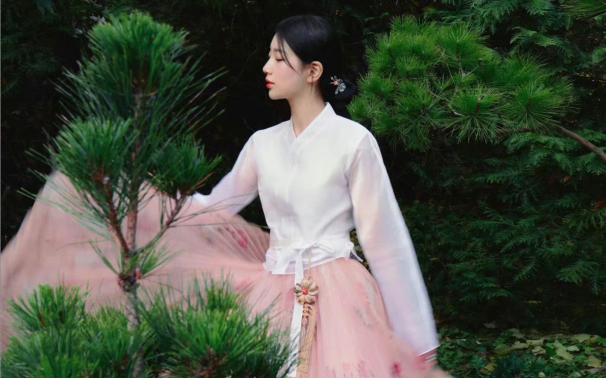 这也太艺术美了…裴秀智穿韩服