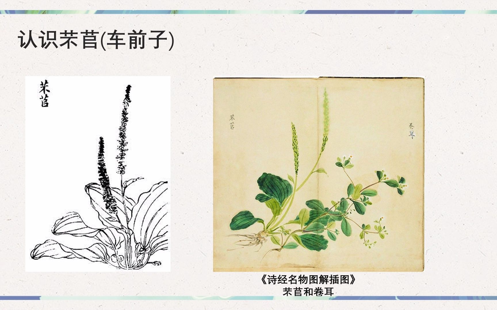 [图]生命的吟唱，劳动的赞歌 ——《芣苢》《插秧歌》对比联读