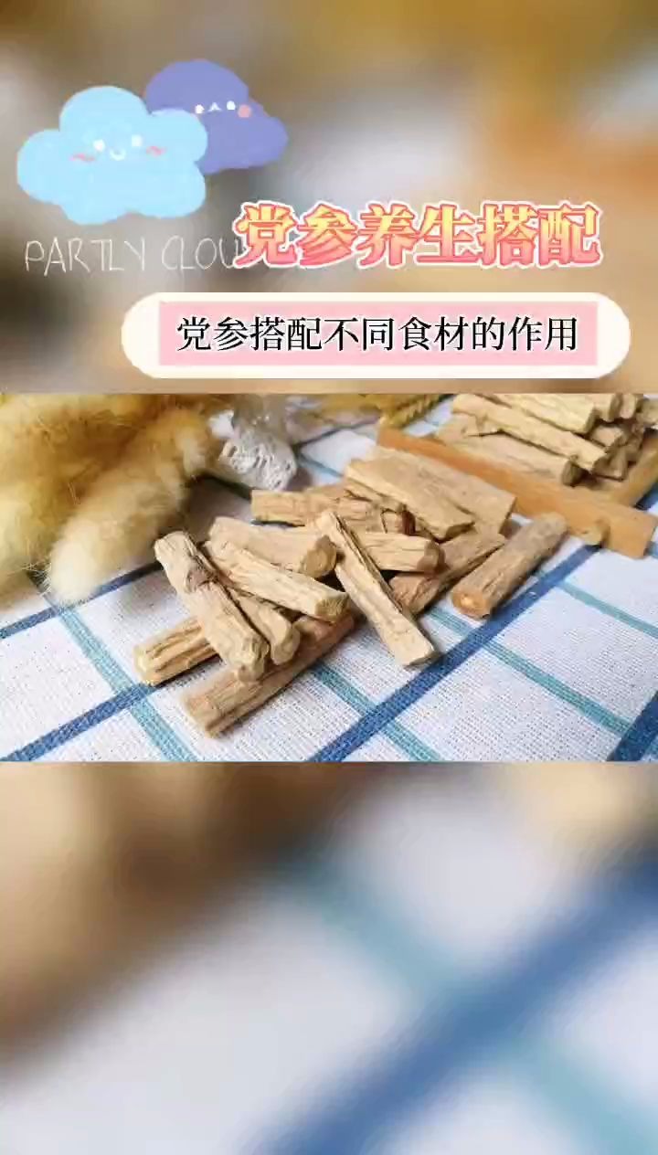 党参怎么吃?党参如何搭配不同食材养生呢?哔哩哔哩bilibili