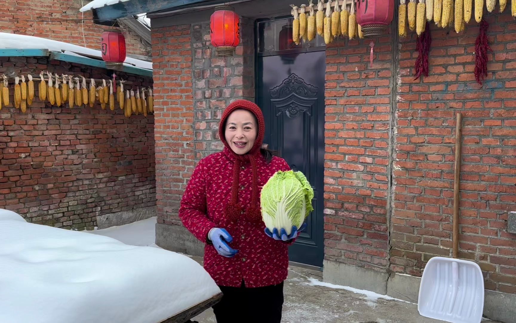 东北农村生活,下雪存白菜,每一步都是前人的智慧,大白菜凉拌菜哔哩哔哩bilibili