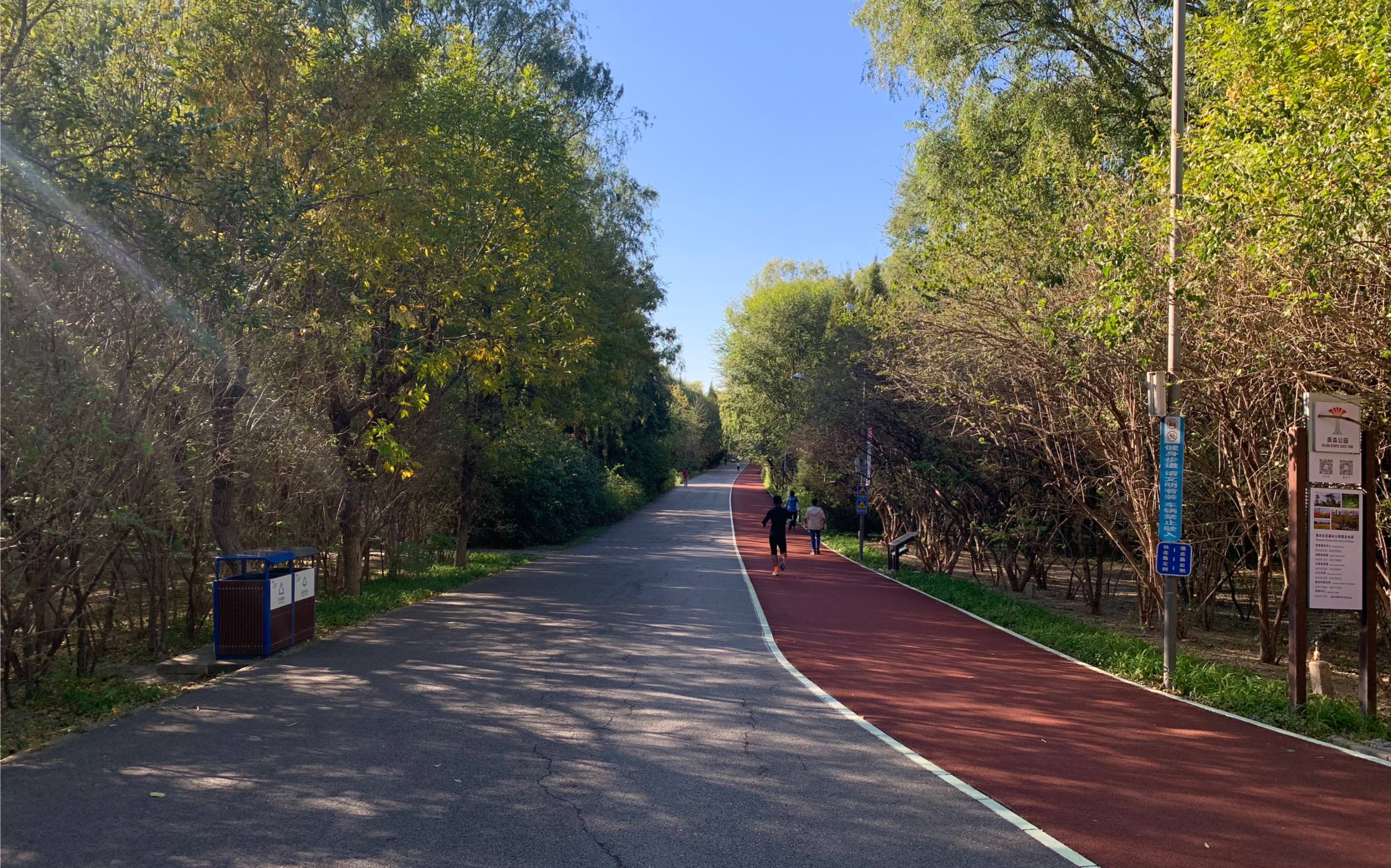 北京秋天 奥森公园北园风景