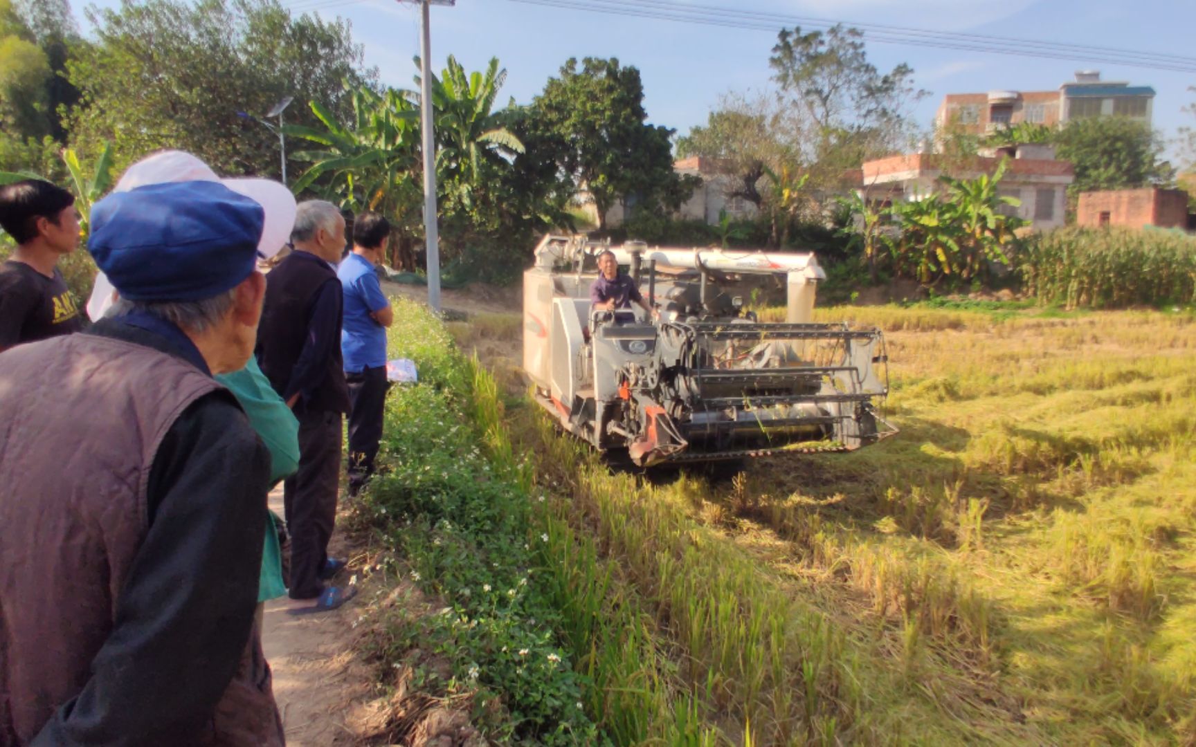 请了台今年最新款收割机收稻谷,吸引众多村民围观,看它速度咋样