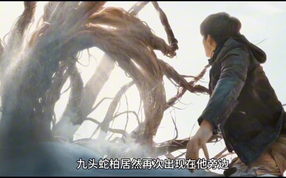 《沙海》28:九头蛇柏