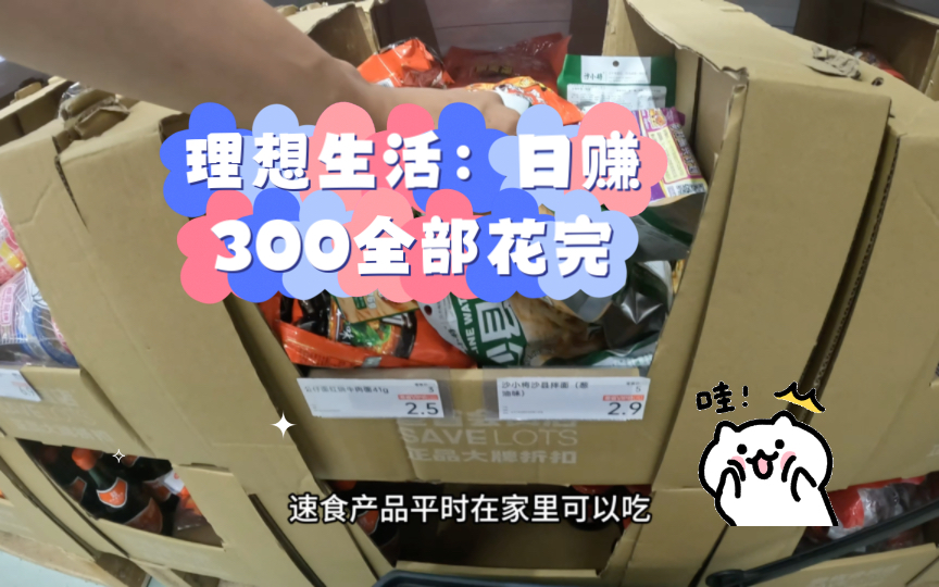 理想生活:日赚300全部花完,享受无虑人生!哔哩哔哩bilibili