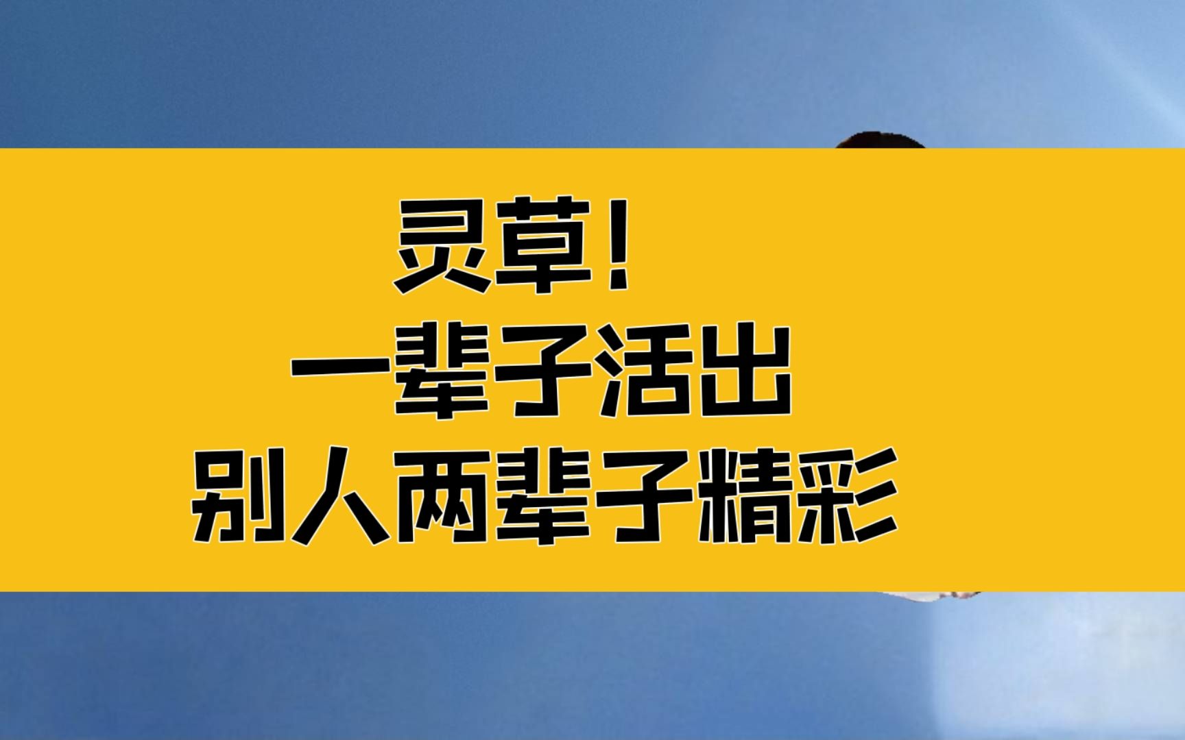 [图]庄子：一草一木都可以成为灵草；一辈子活出别人两辈子的精彩！