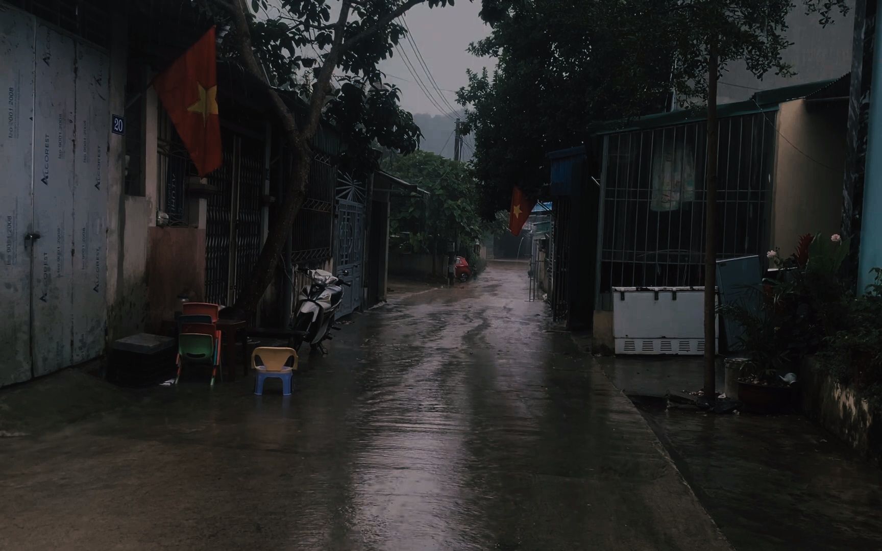 [图]【真实雨声】最适合睡觉的雷雨声 · 深度睡眠 · 助眠雨声 · 30分钟雷雨声催眠