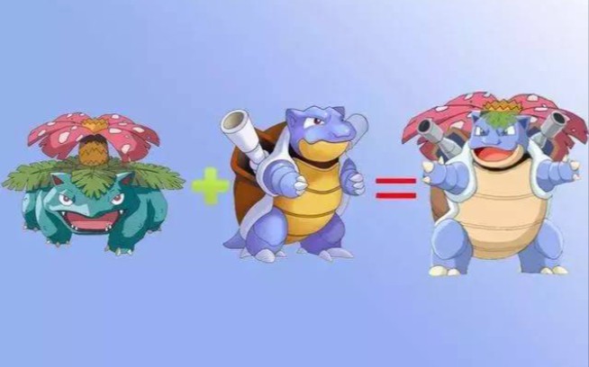 宝可梦妙蛙花和水箭龟的预组小介绍