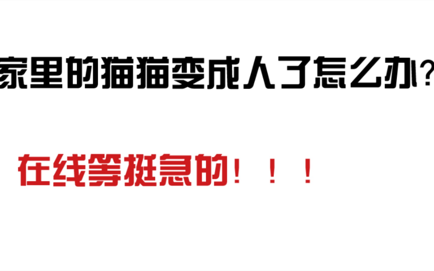 [娜娜酱]《加菲猫复仇记》,看可爱猫猫如何复仇虐渣,顺便找到心宜铲屎官.哔哩哔哩bilibili