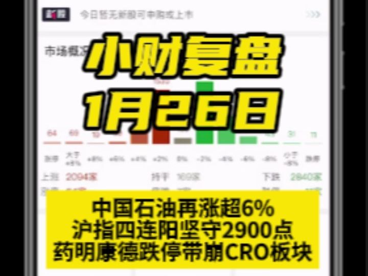 中国石油再涨超6%,沪指四连阳坚守2900点,药明康德跌停带崩CRO板块哔哩哔哩bilibili