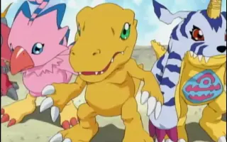 重松花鸟 哔哩哔哩 Bilibili