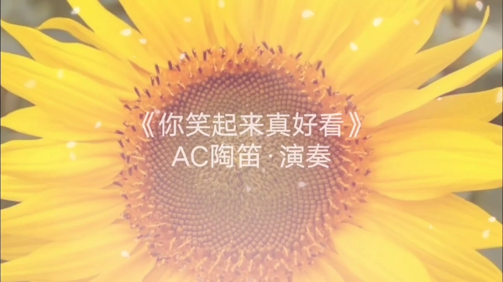 你笑起来真好看陶笛演绎给人欢快的感觉