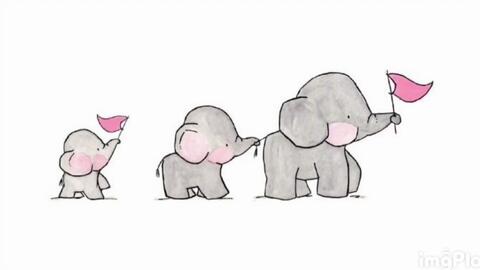 Baby Elephant Walk-哔哩哔哩_Bilibili