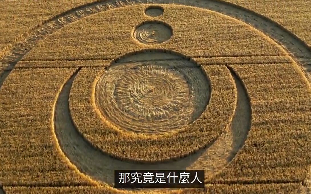 【小茉和老高】为什么总有人说麦田圈是人造的呢?