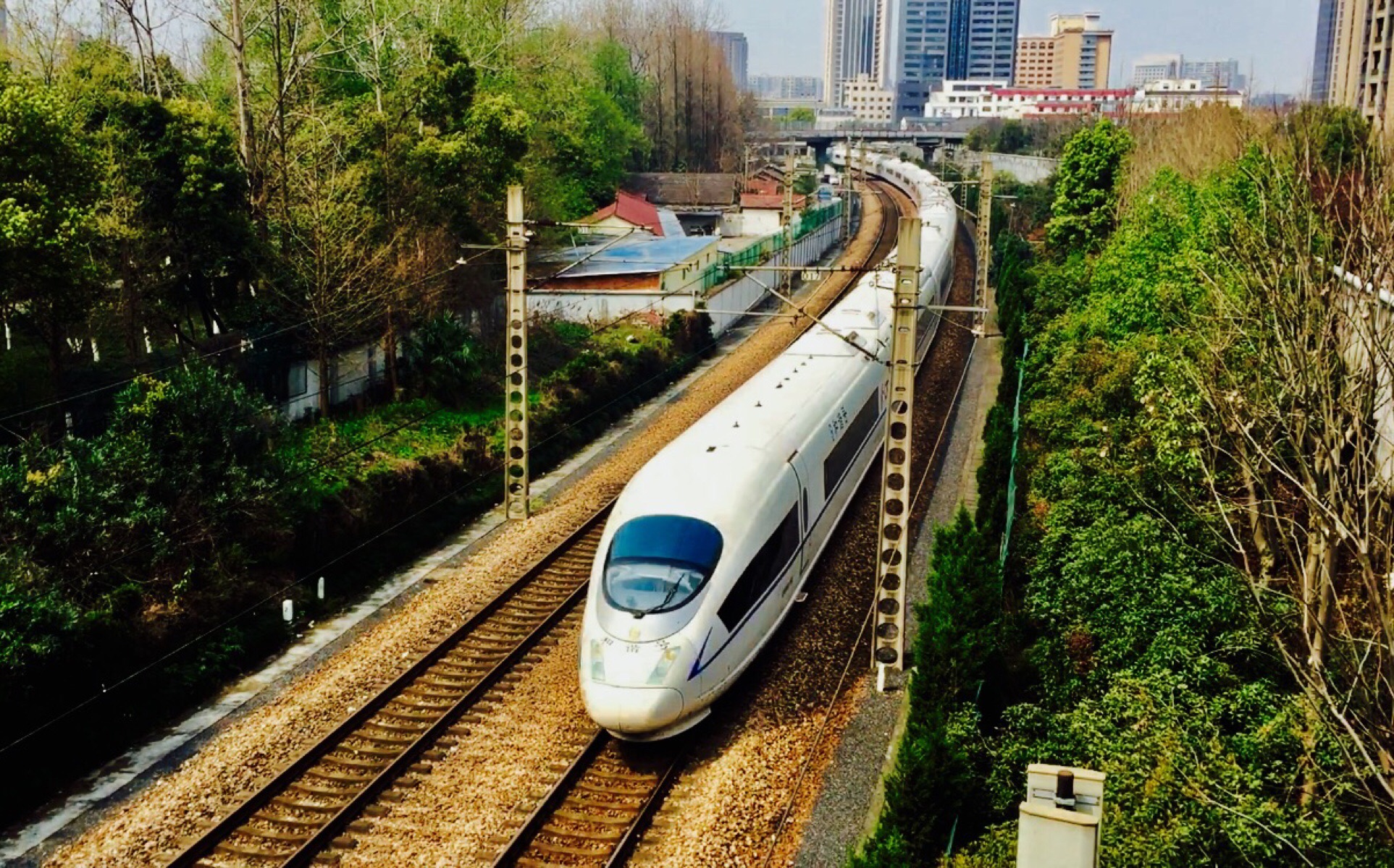 【它只是一只普通的兔子而已】g281次 青岛-杭州 crh380bl-5502 通过