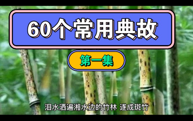 【高考语文】【读懂诗歌】60个常用诗歌典故哔哩哔哩bilibili