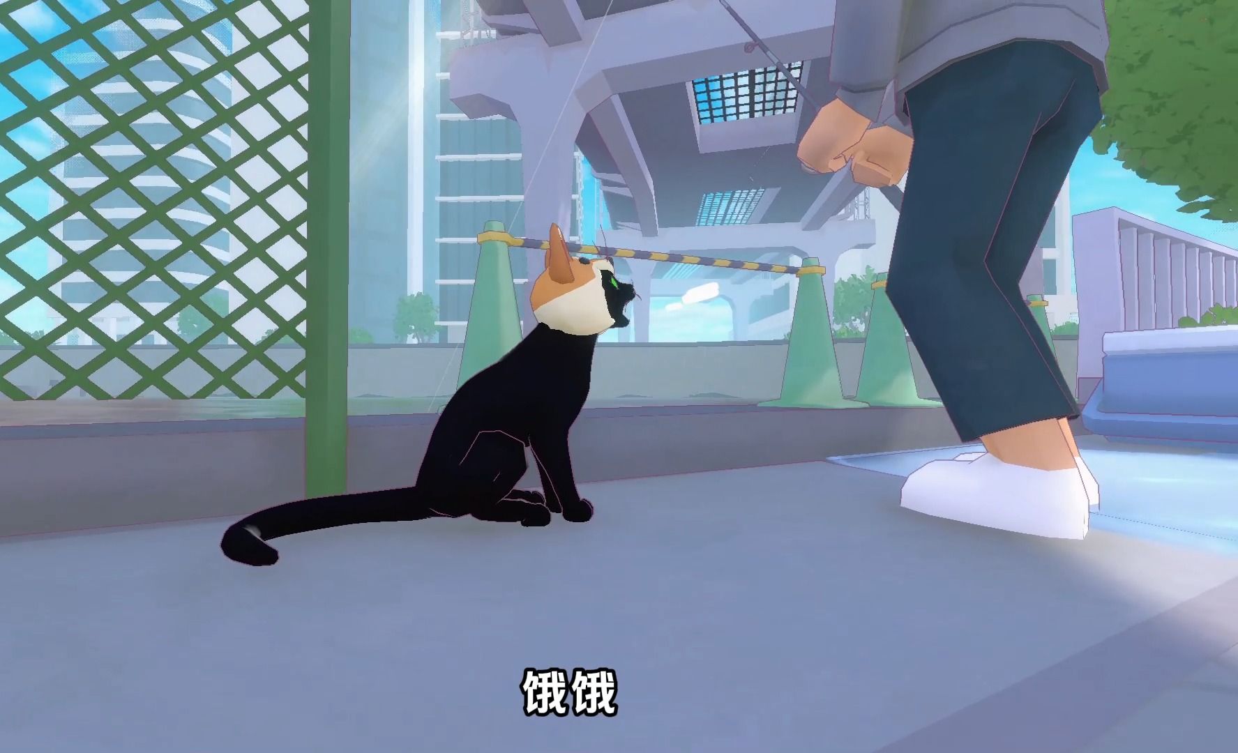 小猫咪向钓鱼佬讨鱼
