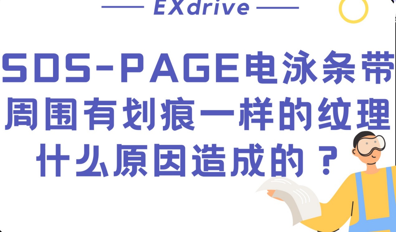 SDSPAGE电泳条带周围有划痕一样的纹理,什么原因造成的?哔哩哔哩bilibili