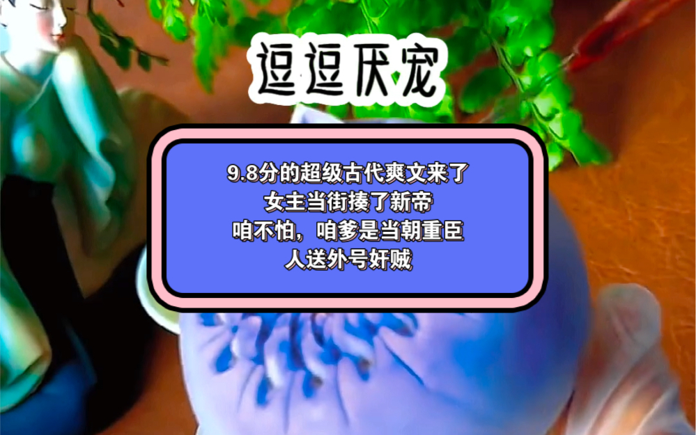 9.8分的超级古代爽文来了女主当街揍了新帝咱不怕,咱爹是当朝重臣人送外号奸贼哔哩哔哩bilibili