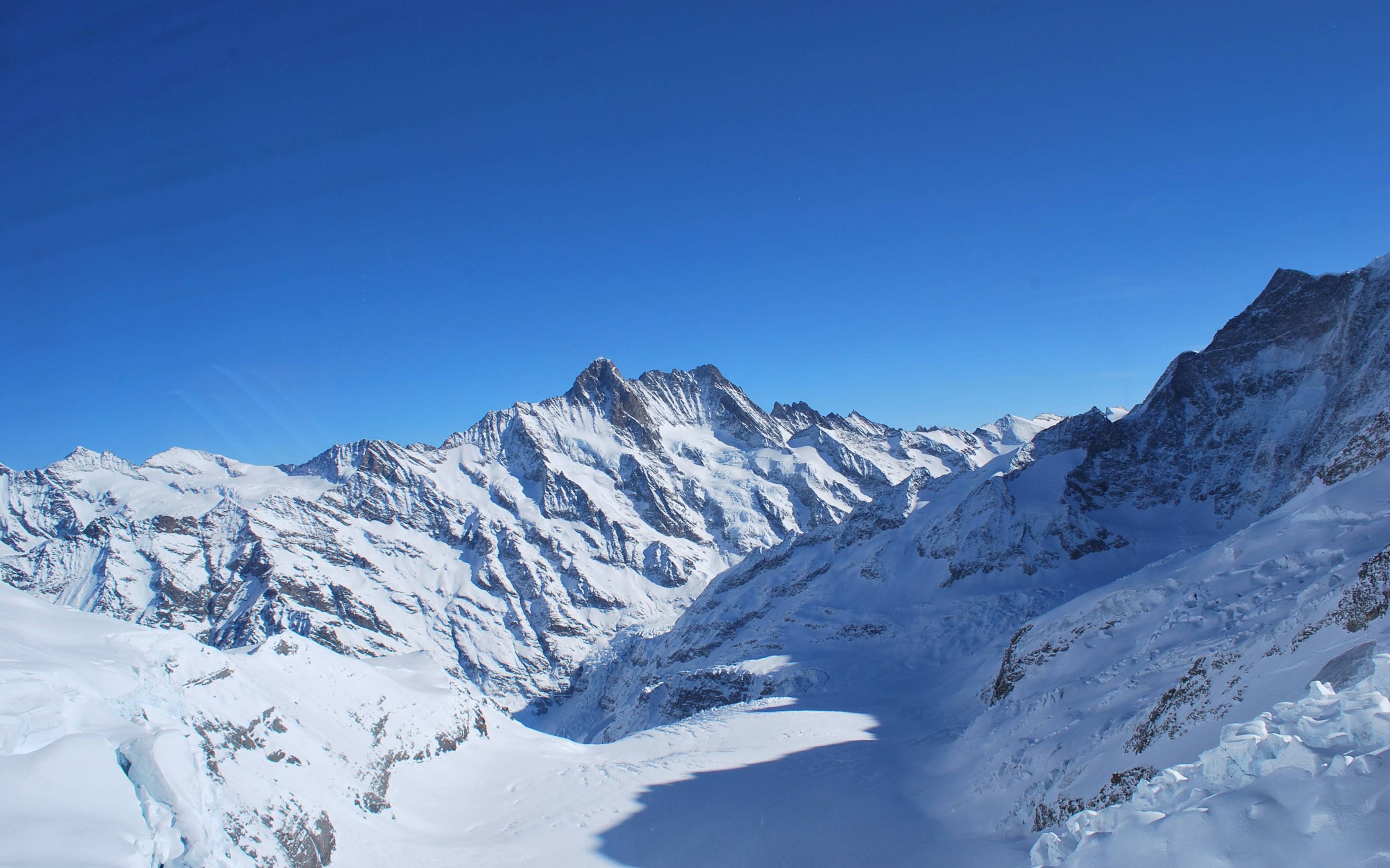 北美落基山脉地区神奇的吃雪者