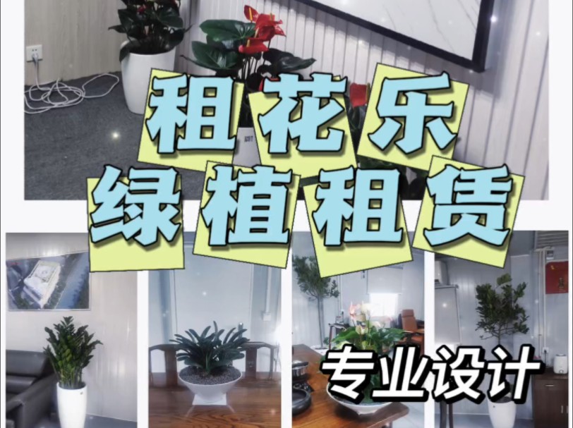 在上海做了20年的绿植租赁服务商免费上门设计,提供报价方案我们会提供最合理分方案让植物给您的环境带来生机和活力哔哩哔哩bilibili