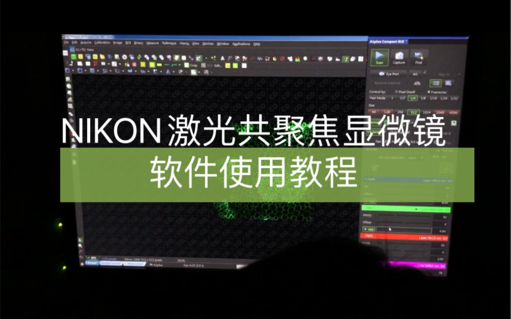 【Nikon激光共聚焦显微镜】软件操作讲解|技巧|科研|方法哔哩哔哩bilibili